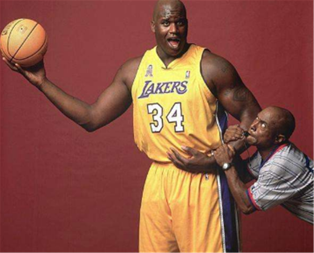 案例分析 案例分析