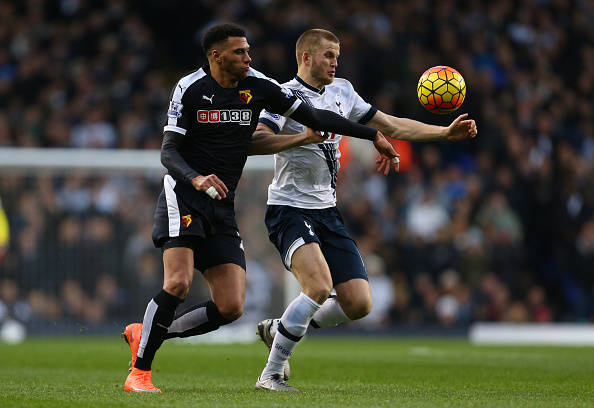 雄鹿应当在 雄鹿应当在